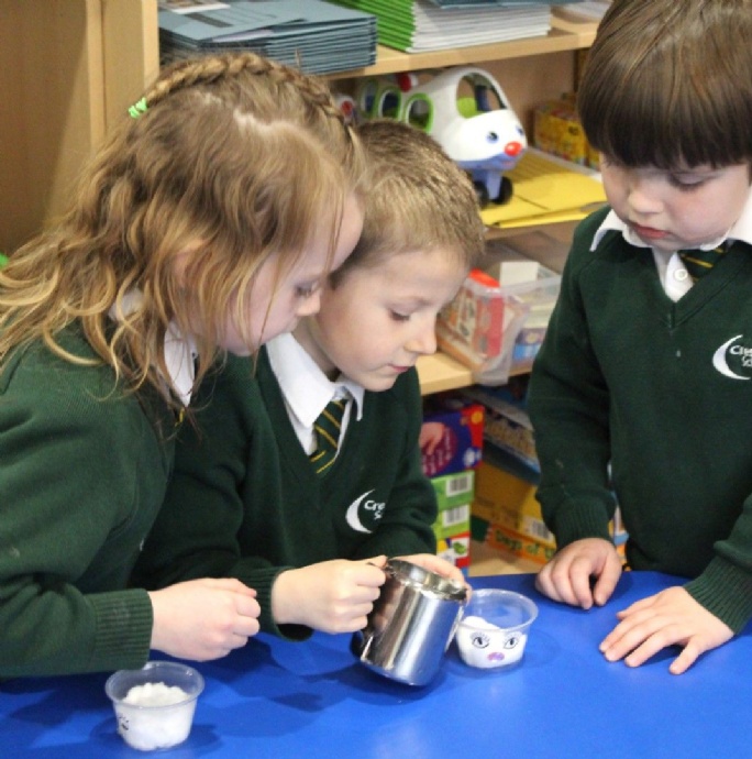 News » Reception Plant Cress Heads